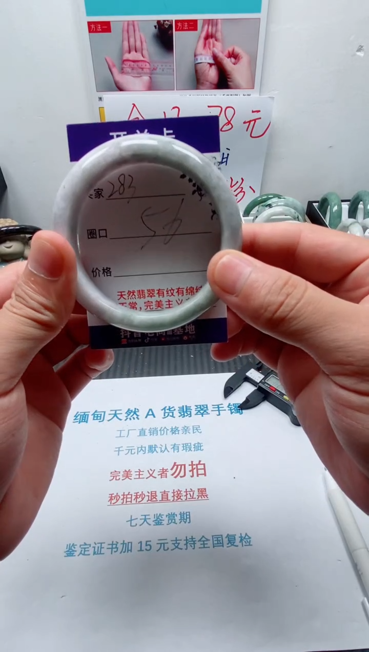 未镶嵌手镯翡翠283