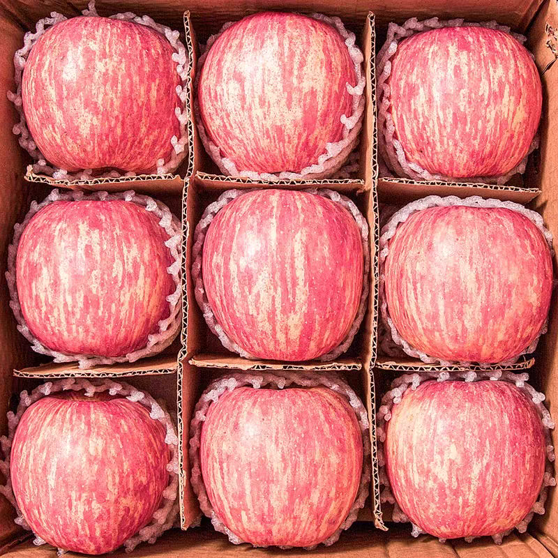 正宗陕西洛川红富士苹果脆甜多汁产地直发新鲜水果5斤