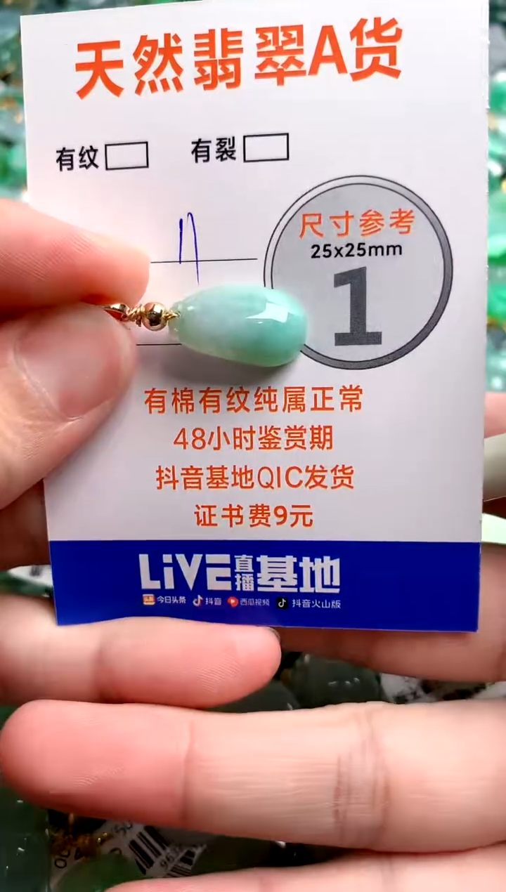颈饰未镶嵌翡翠25100629
