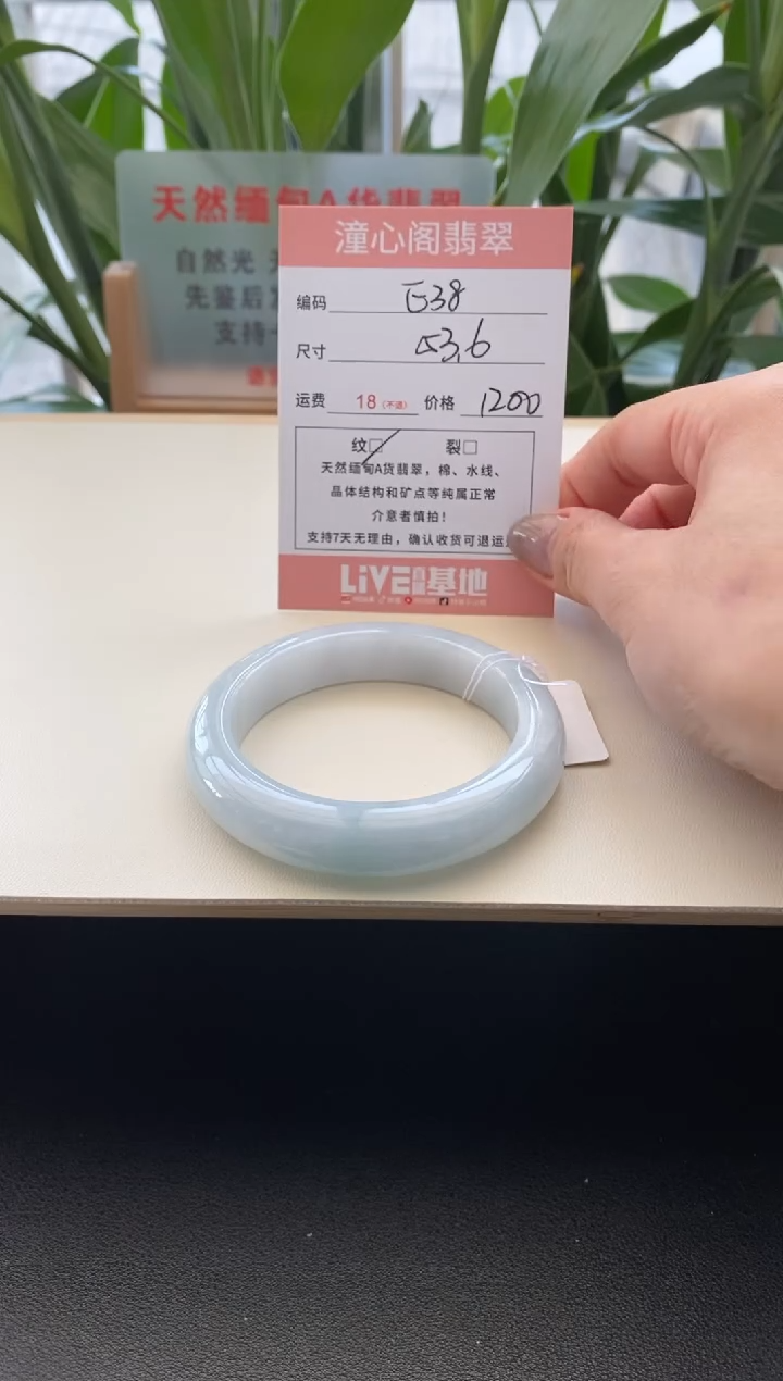 未镶嵌手镯翡翠53.6圈口E38