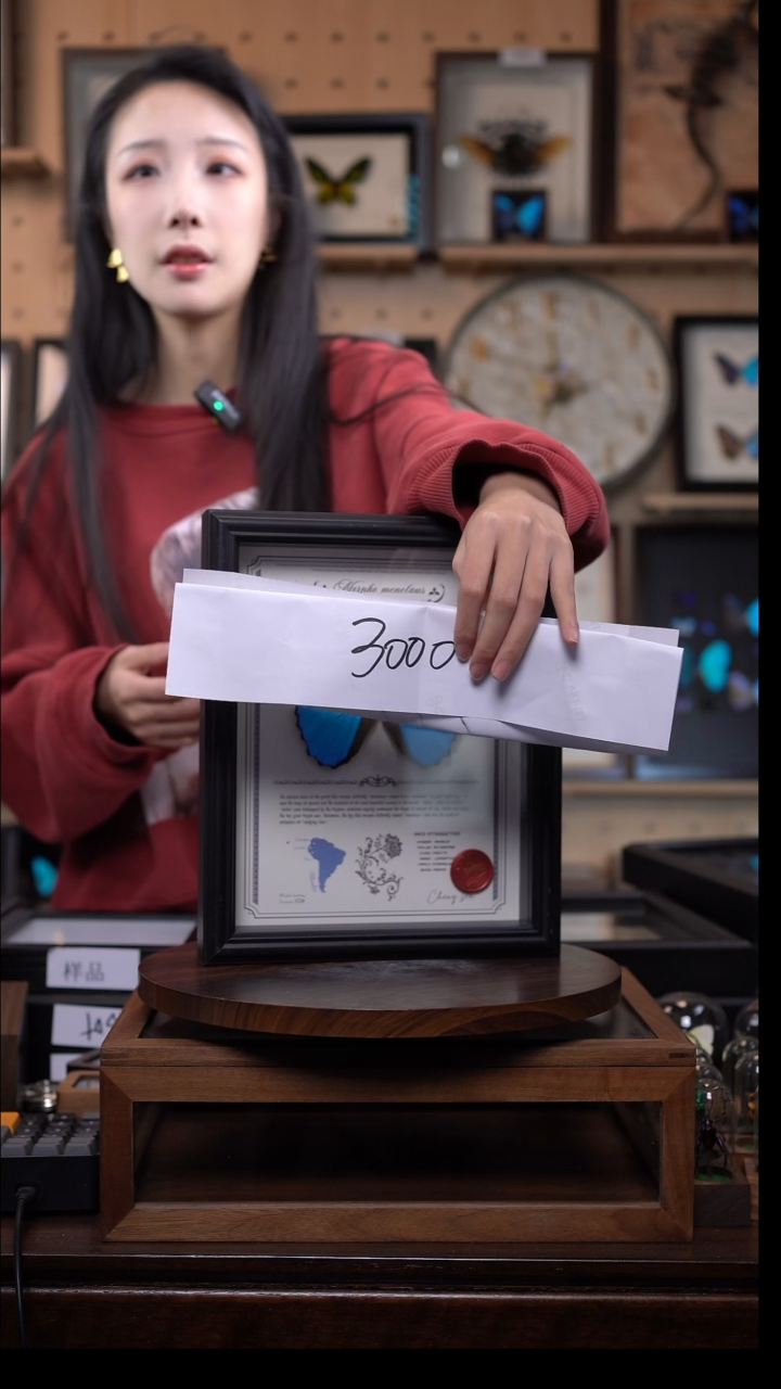 不发货 囤        
