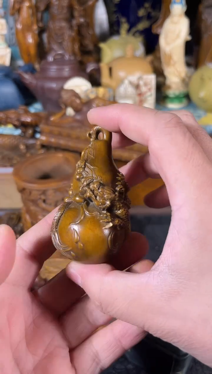 黄杨木1111111111111111111