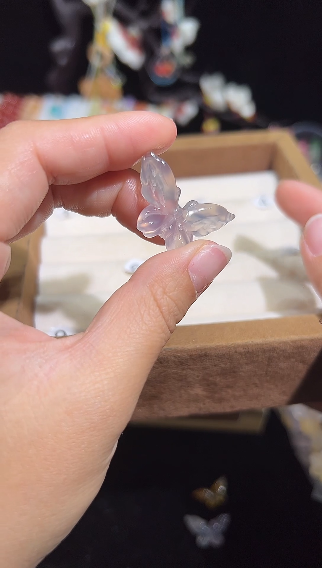 A891蝴蝶裸发不编