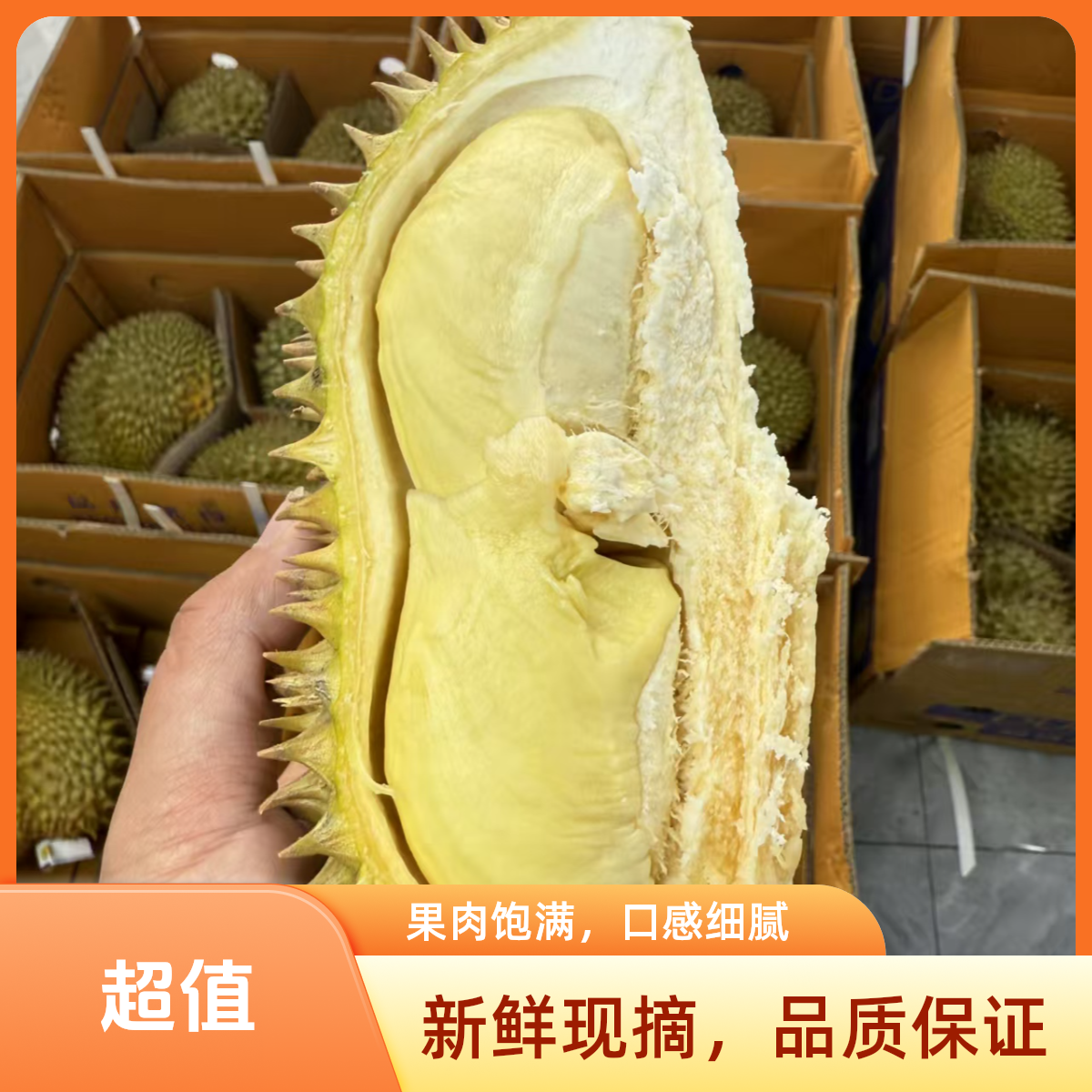 【L】①泰国树熟金枕A果35一斤 新鲜榴莲一果一拍 核小肉厚 请勿生劈 顺丰包邮%5运损榴莲同城送金枕泰国东部