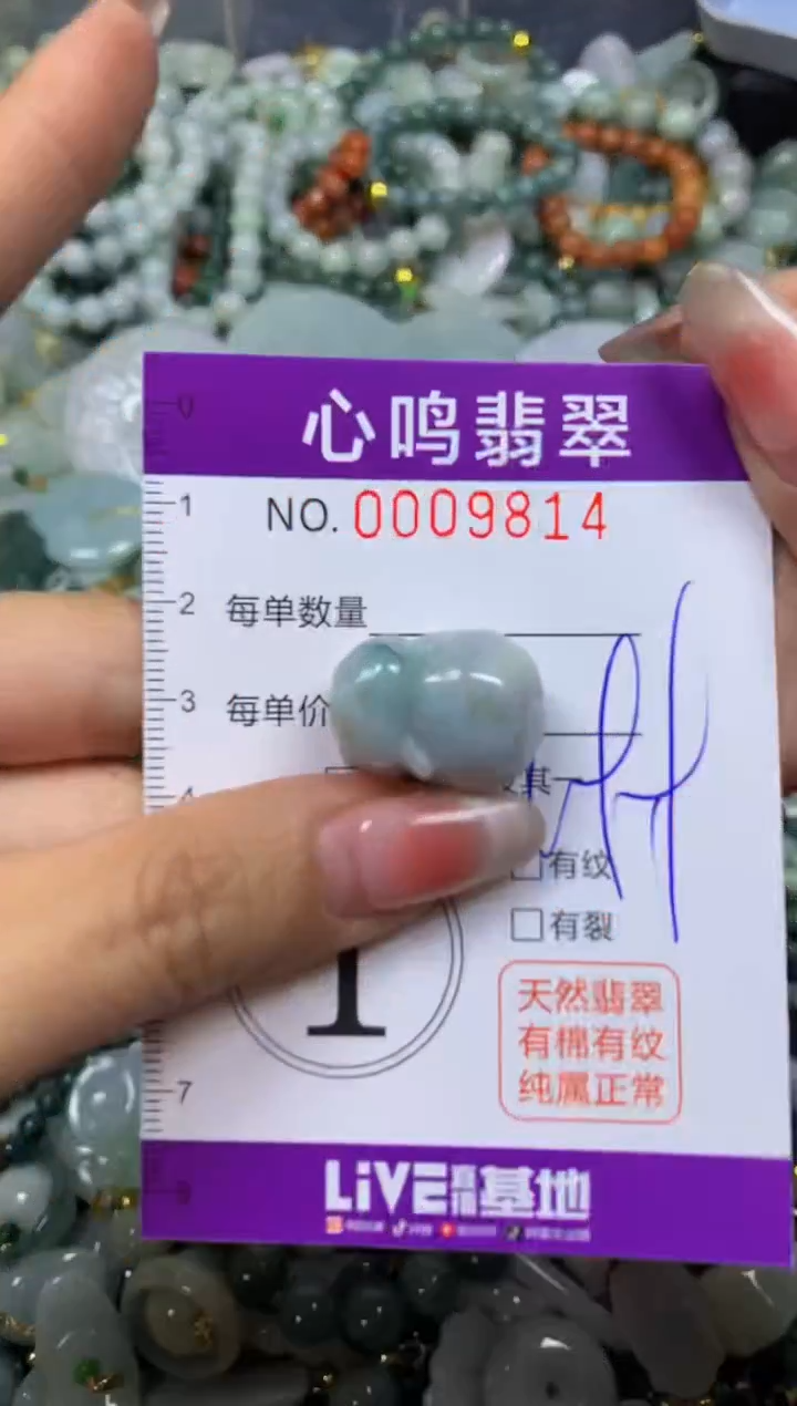 翡翠未镶嵌颈饰闪购009814