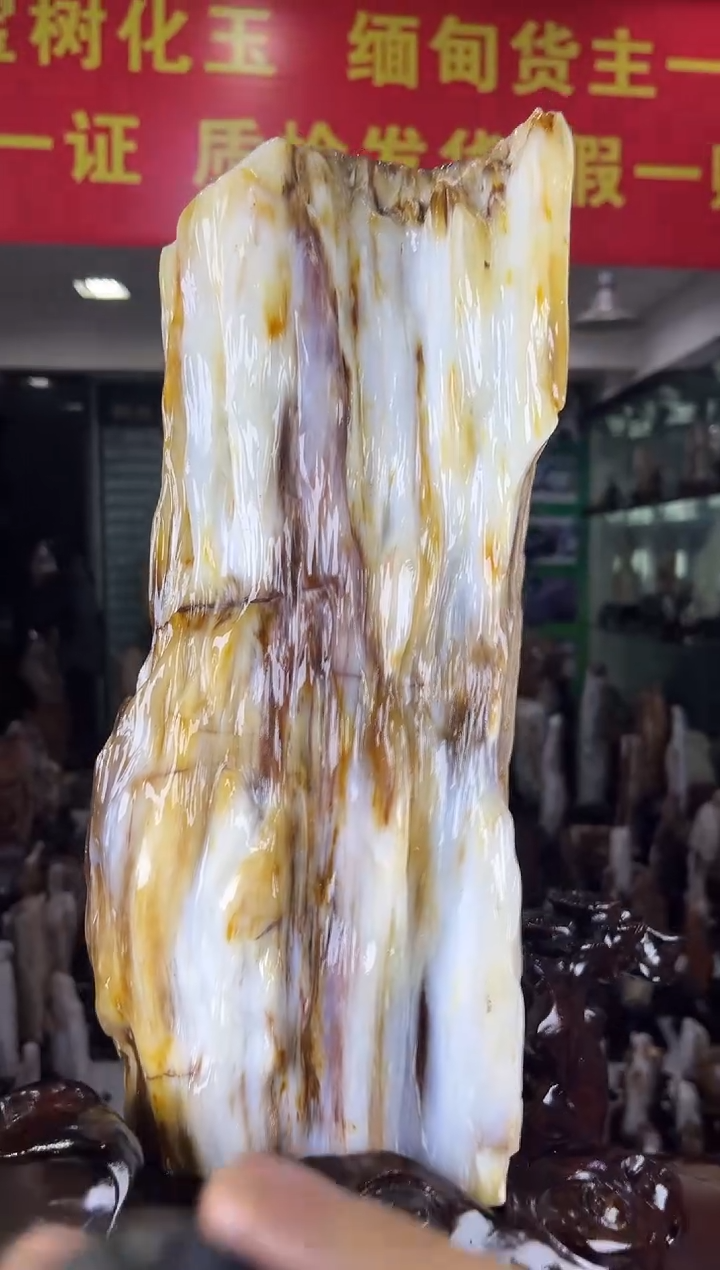 未镶嵌珠宝奇石硅化玉缅甸天然树化玉精品居家摆件