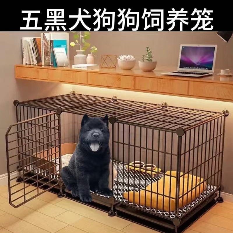 带你挑宠 活体五黑狗狗饲养笼售后指导