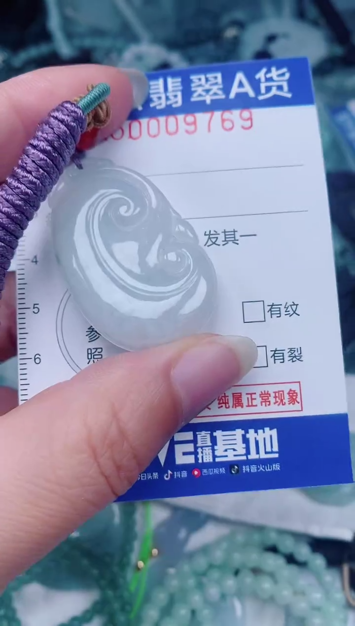 颈饰未镶嵌翡翠00009769