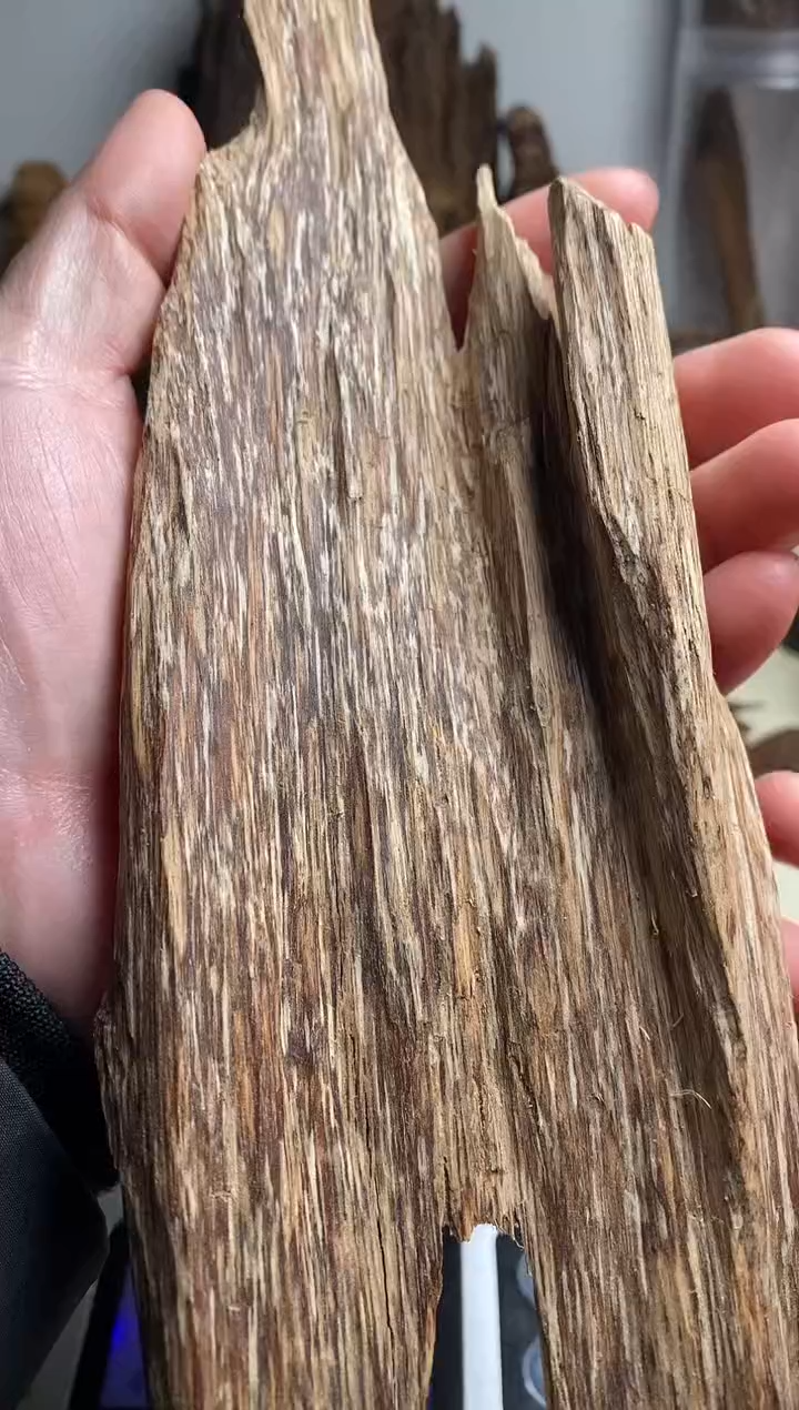 【闪购商品】沉香手把件老挝沉香虫漏料70克