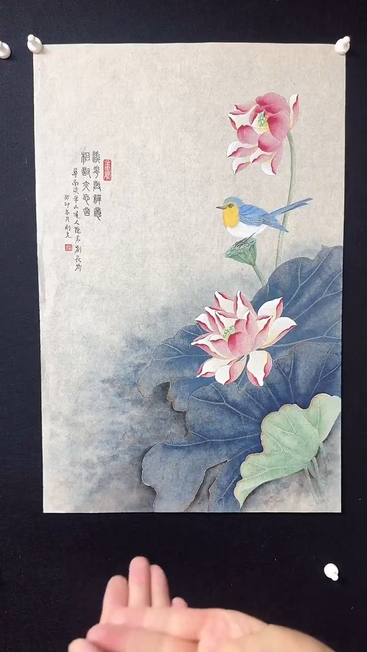 【闪购商品】国画工笔花鸟知更鸟