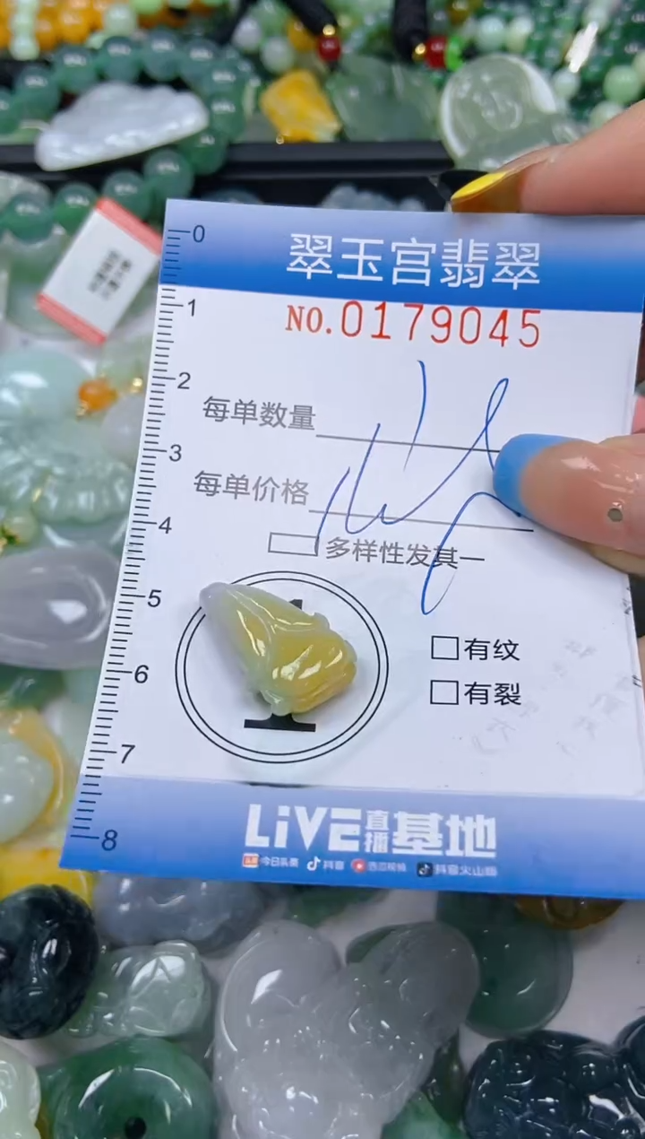 翡翠未镶嵌颈饰闪购0179045
