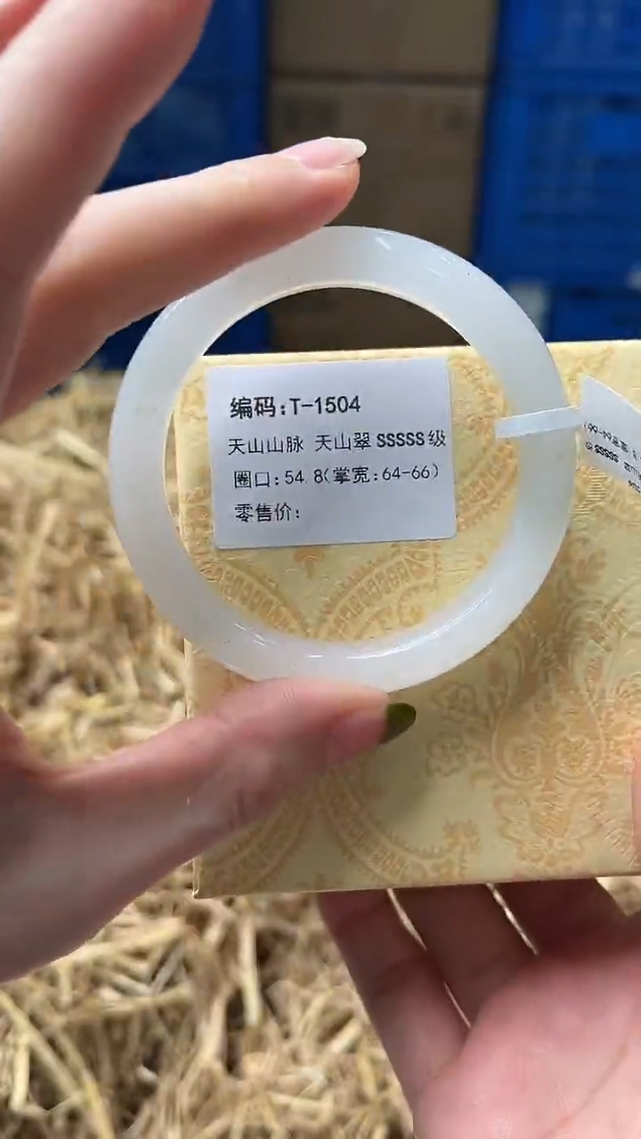 未镶嵌手镯石英质玉T1504