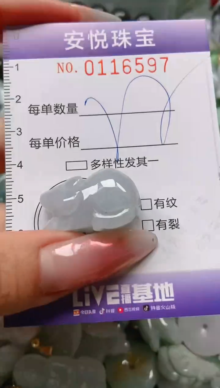 【闪购商品】翡翠颈饰未镶嵌闪购0116597