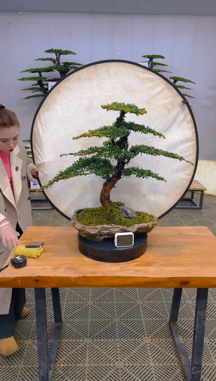 无花朵一物一拍一物一拍