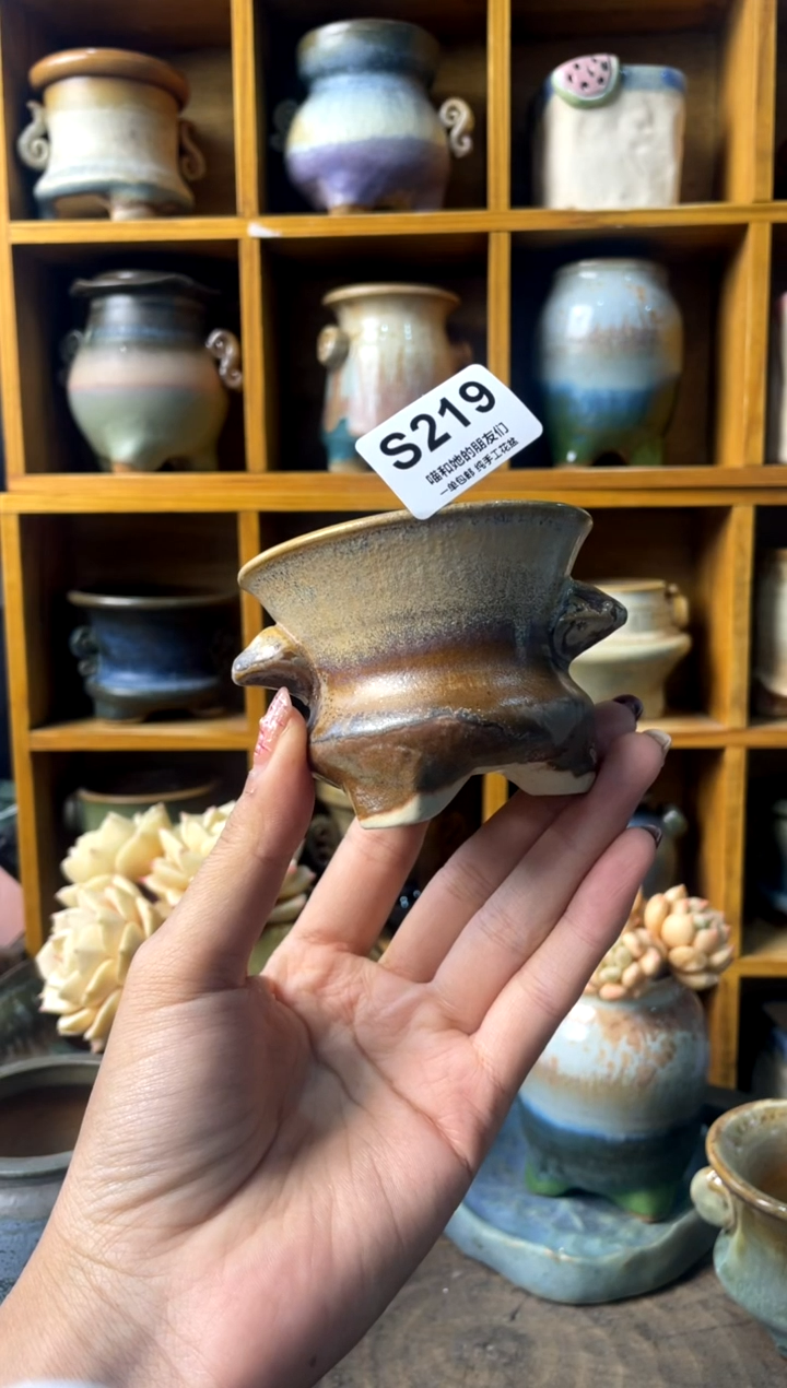 219内口7【多肉花盆多肉盆】