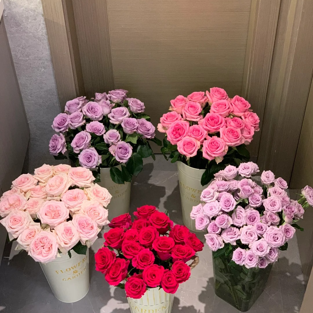 鲜花   单头小仙女15只+5只防损  任意两单包邮