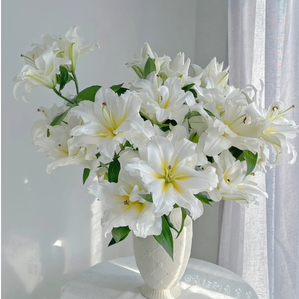【大聪明卖花】暴风雪重瓣百合任意两单升级顺丰冷链或德邦快递