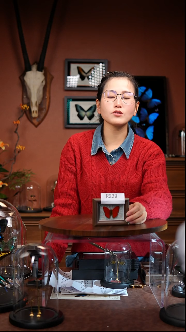 R239   血漪蛱蝶 木质框冰箱贴