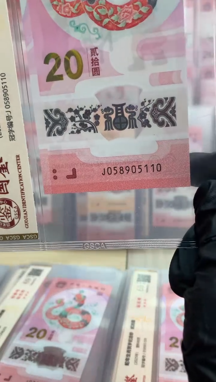 【闪购商品】塑料蛇钞 真钞【单张】5110
