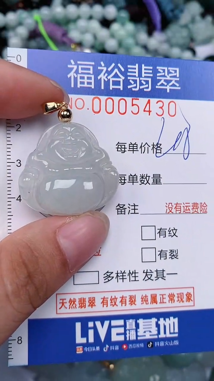 翡翠未镶嵌颈饰...0005430