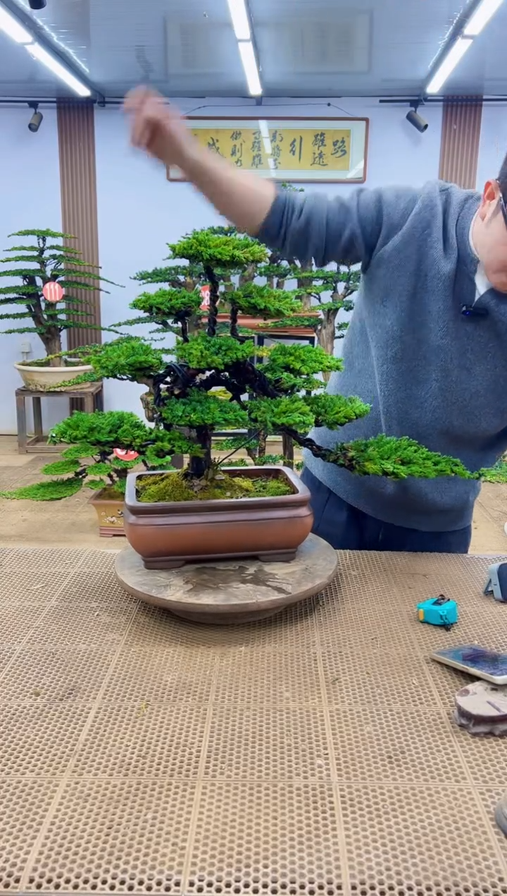 无花朵00000000000