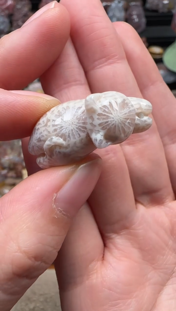 颈饰未镶嵌硅化珊瑚（珊瑚玉）225
