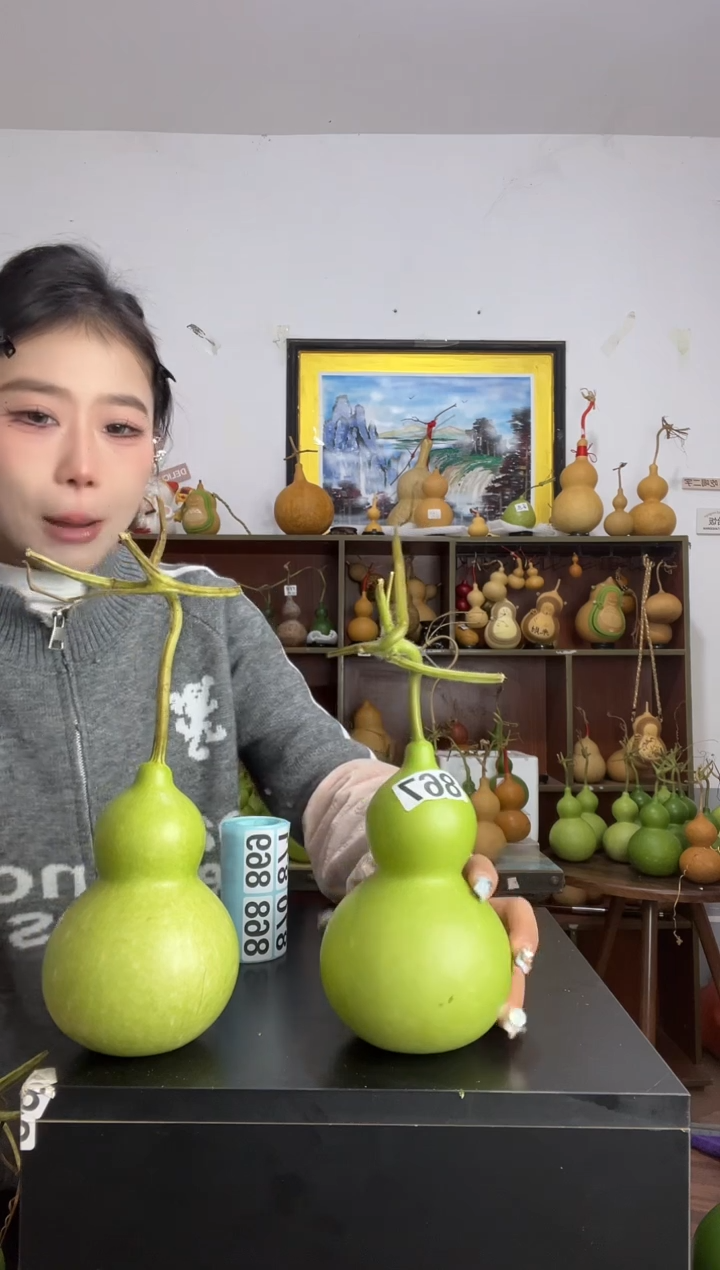 2****星867天然葫芦摆件 一物一拍龙头不保售后