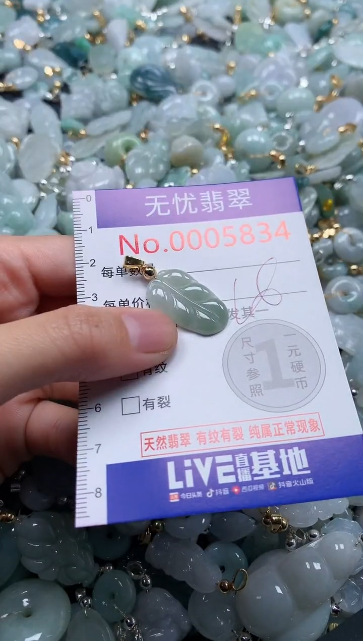 翡翠未镶嵌吊坠(不含链)5834