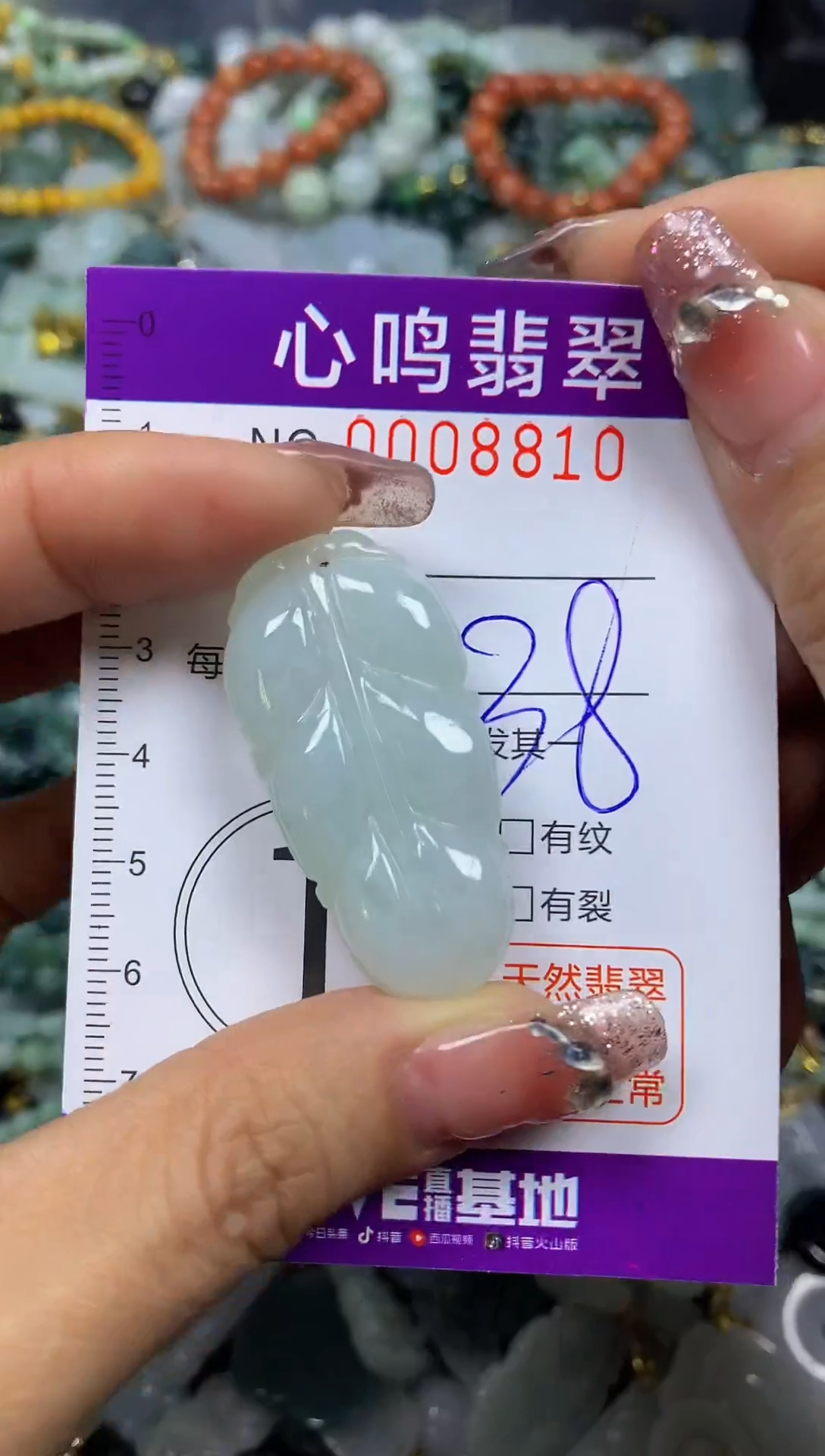 【闪购商品】翡翠颈饰未镶嵌闪购008810