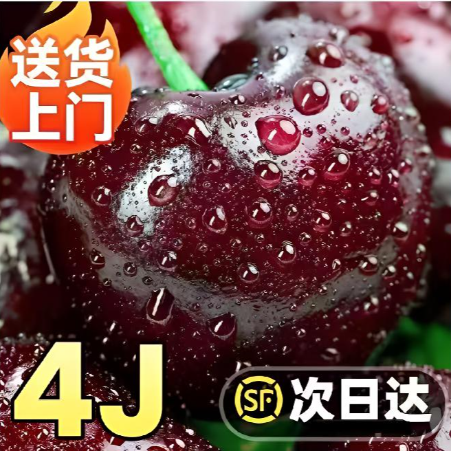  4JDD黑车【今天拍明天到】智利空运进口车厘子鲜水果孕妇宝宝水果内附果径卡900g3JD桑提娜樱桃智利共和国