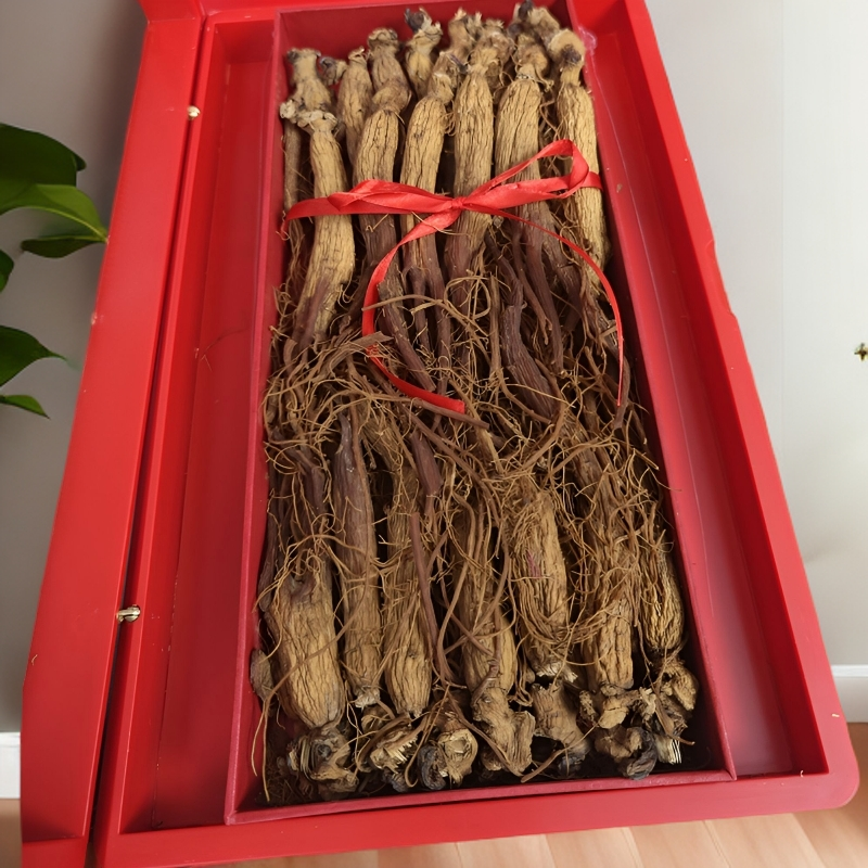 盛吉信 山地参  全须红参林下趴货