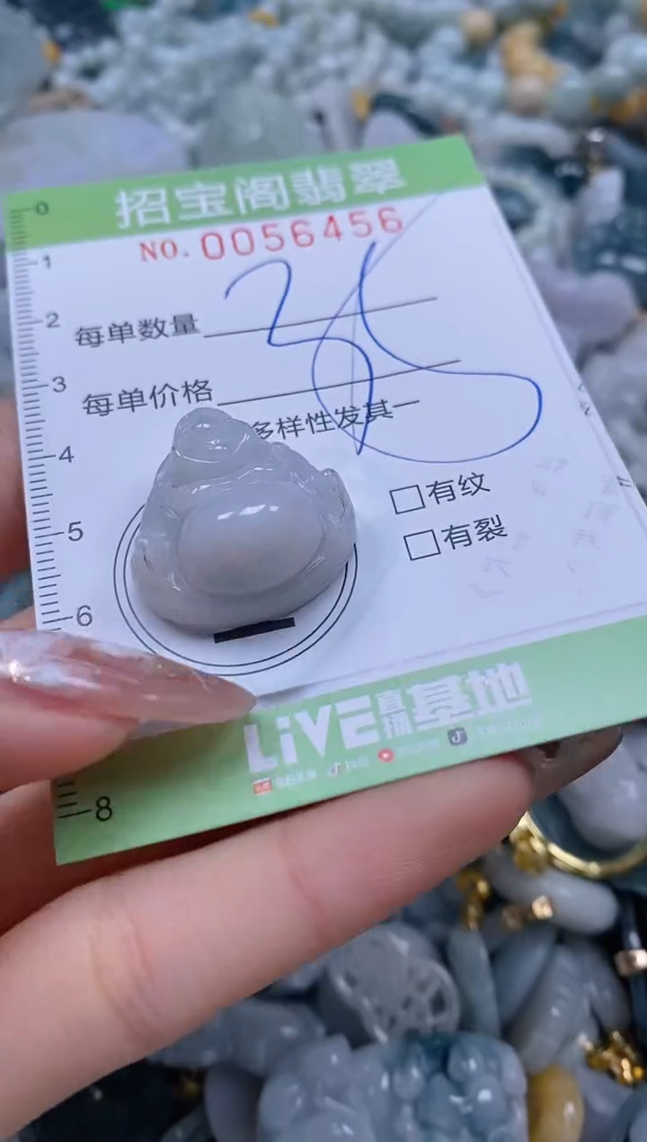 【闪购商品】翡翠颈饰未镶嵌闪购商品0056456