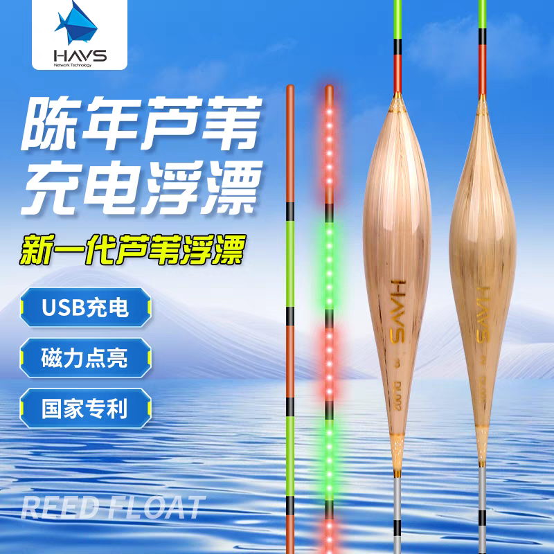 哈维斯多目亮充电感应电子漂日夜两用硬尾夜光漂