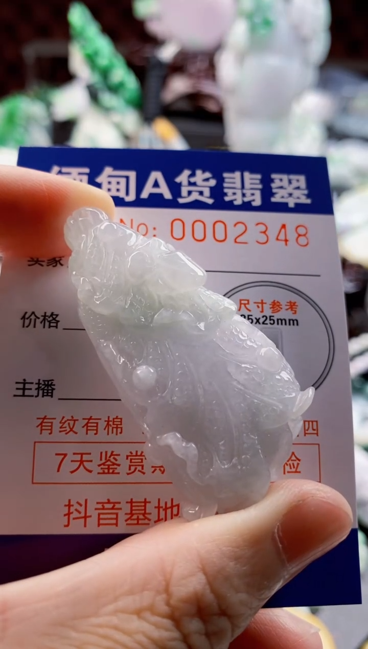 翡翠未镶嵌吊坠(不含链)1
