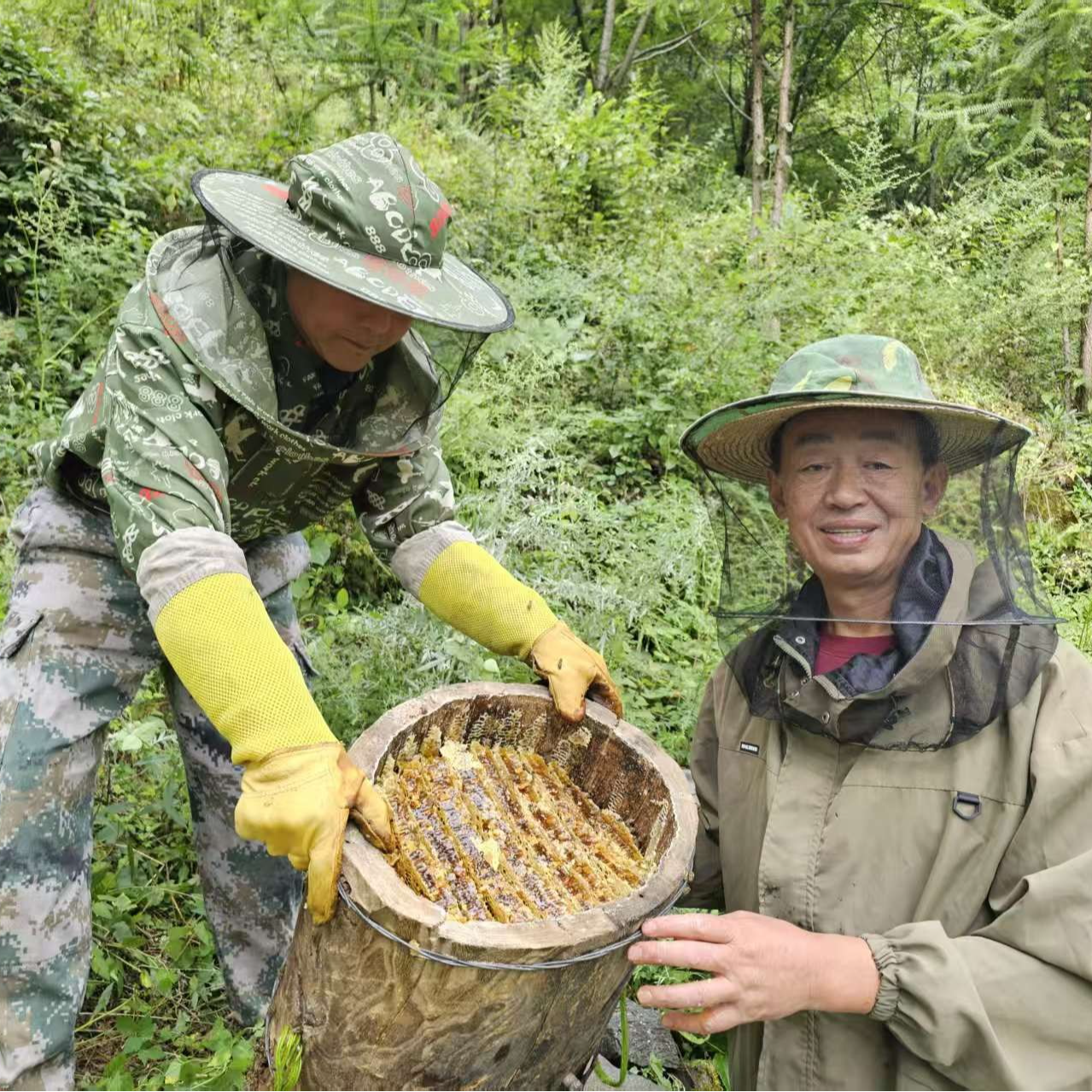 城口蜂蜜自然结晶蜂蜜农家百花蜂蜜纯蜂蜜土蜂蜜