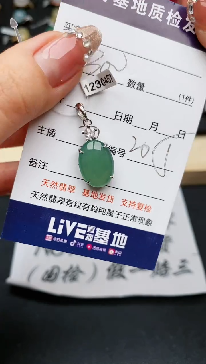 【闪购商品】翡翠颈饰银S925镶嵌...........