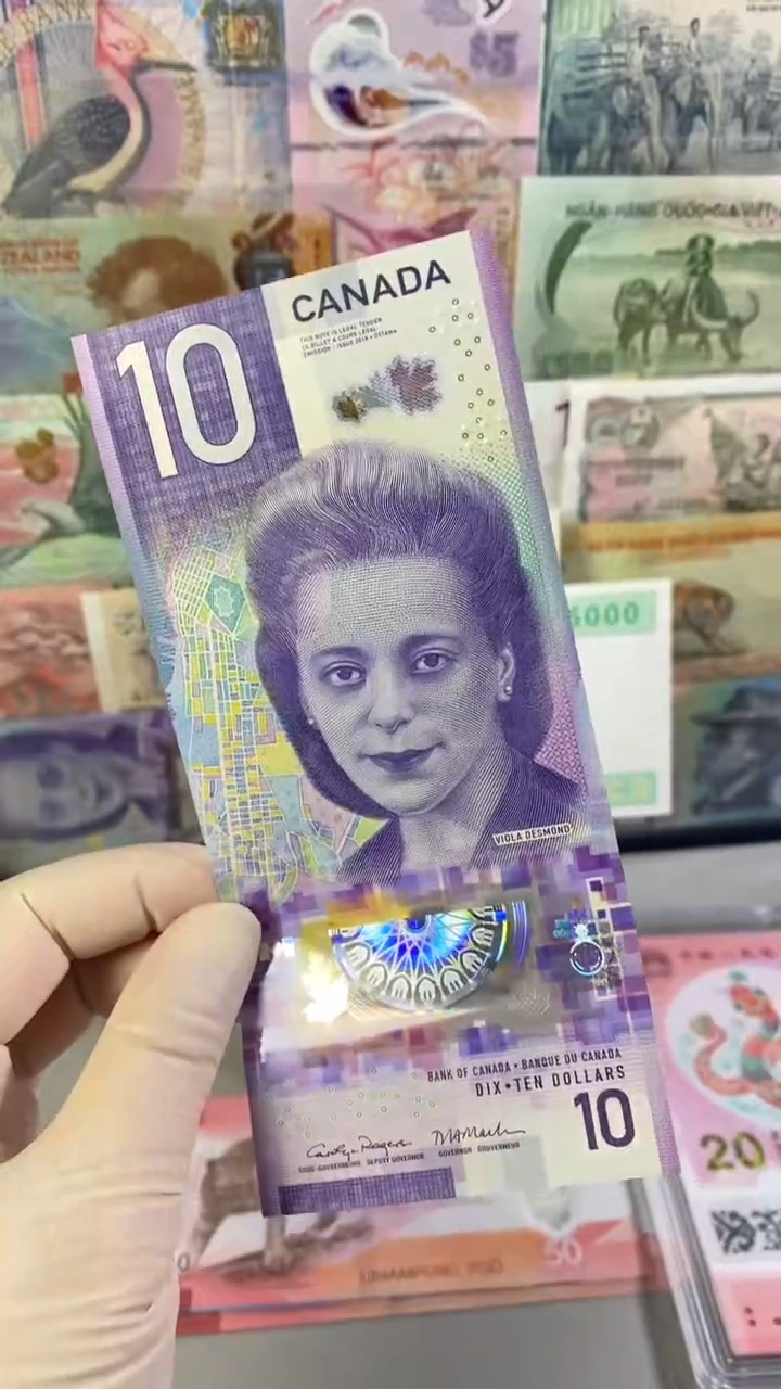 纸币加拿大10元 2018年版塑料钞