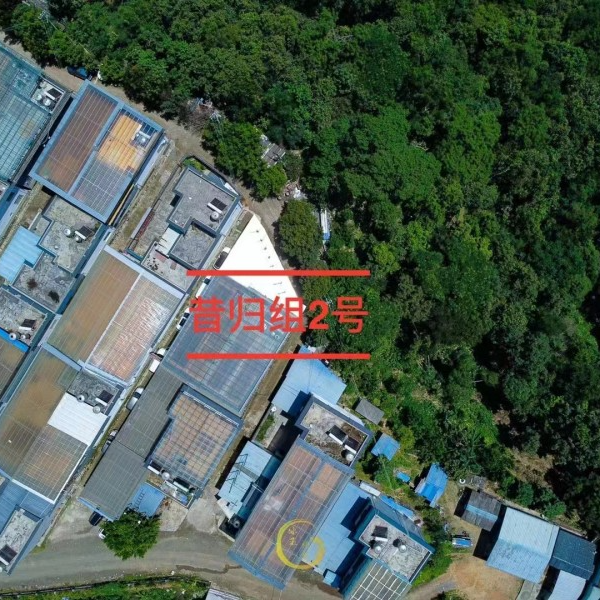 【名山团队】 20.26礼包   普洱茶