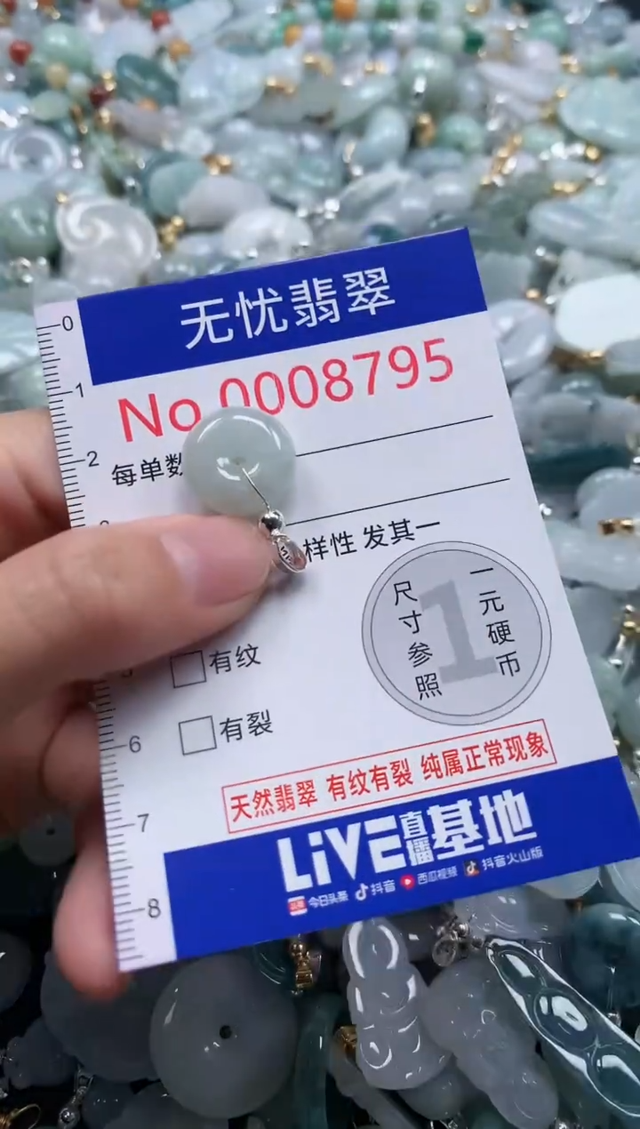 翡翠未镶嵌吊坠(不含链)8795