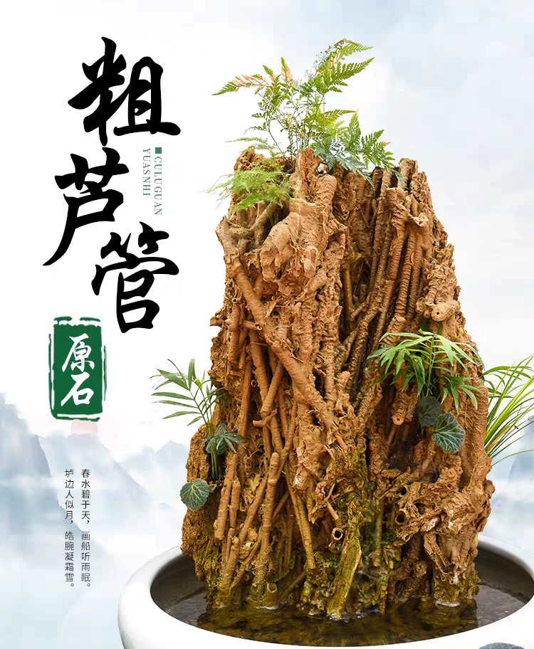 【直播间链接】天然芦管石钟乳石吸水石用于大型盆景的假山摆件