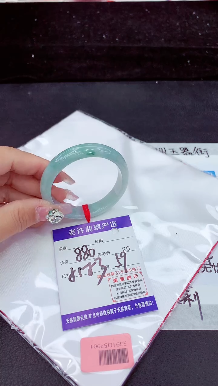 未镶嵌手镯翡翠1