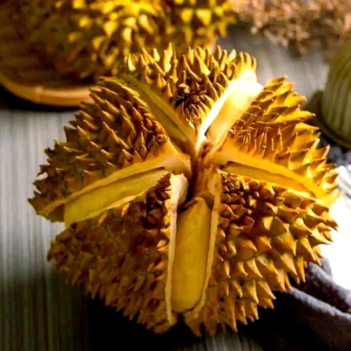 【特价炸口果】4个果净重16斤金枕核小鲜榴莲不理赔售后介意慎重拍！金枕越南社会主义共和国