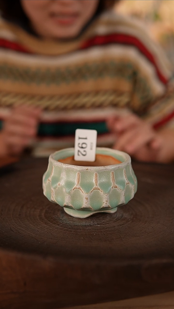 【闪购商品】陶瓷2-8-192默认瑕疵口6