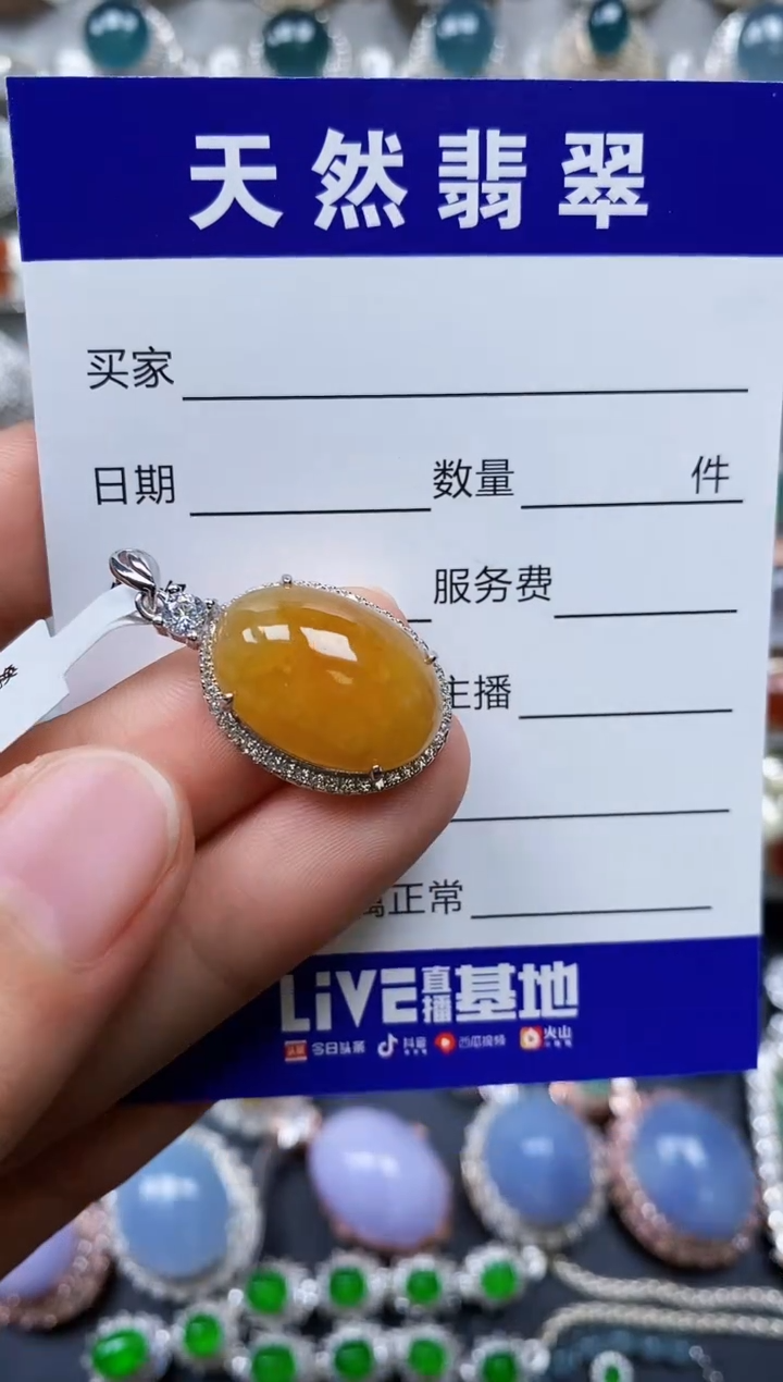 【闪购商品】翡翠颈饰银S925镶嵌0243