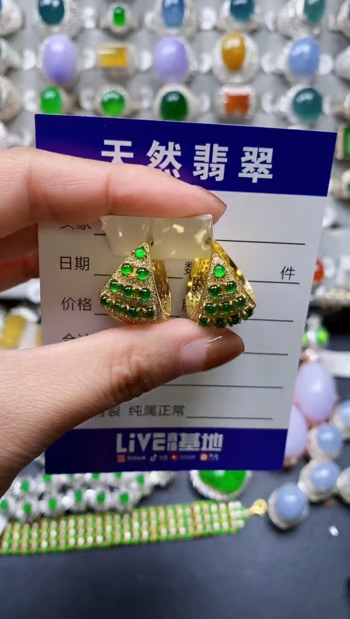 【闪购商品】翡翠耳饰银S925镶嵌0664
