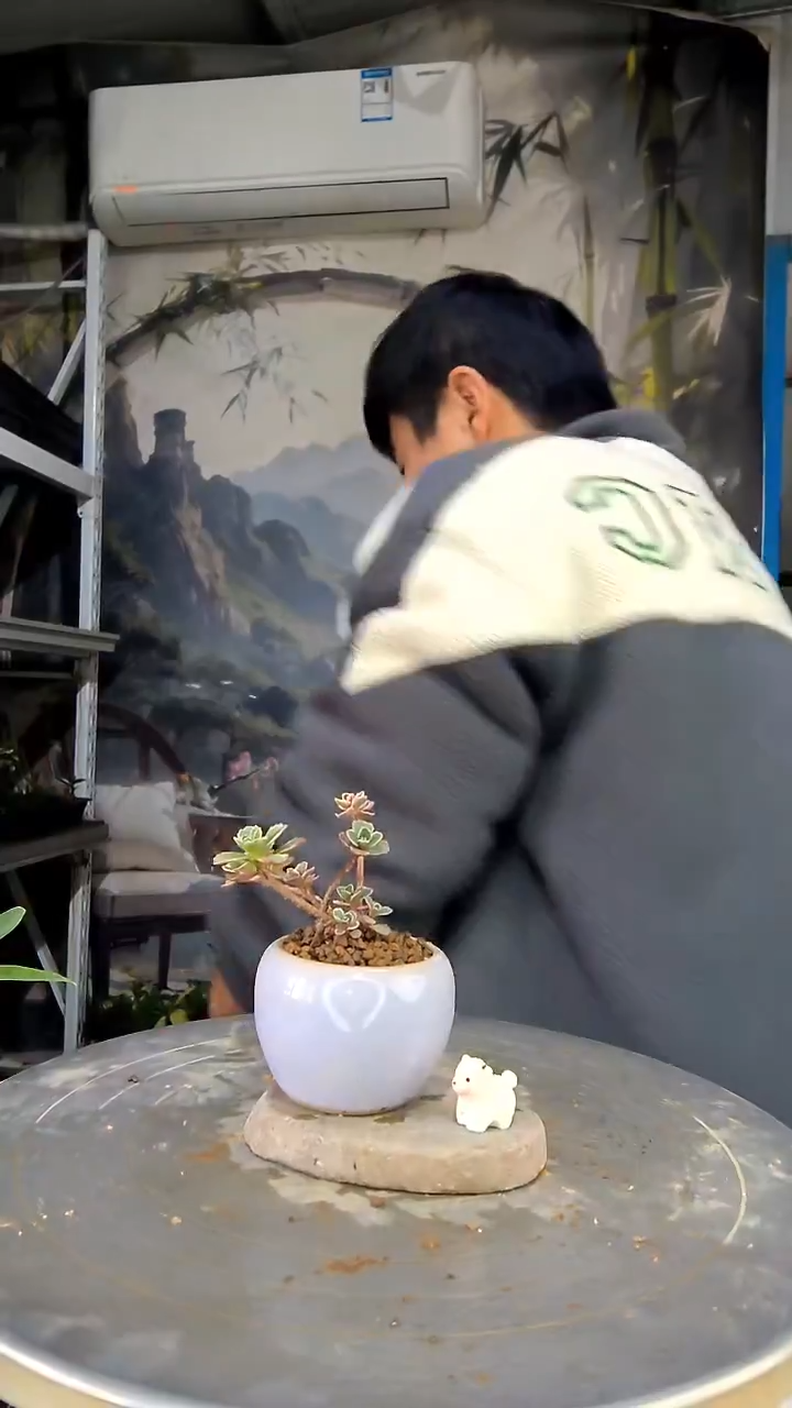 ?中青园艺一物一拍花281