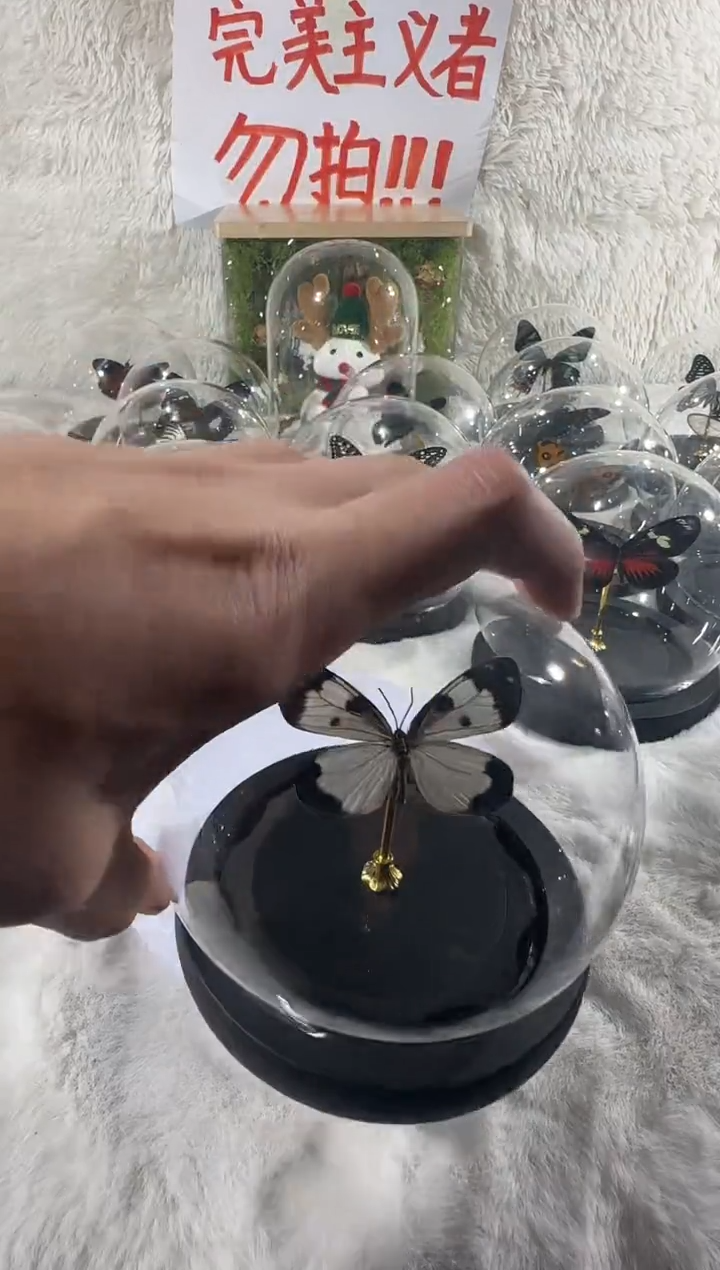 木光辉             