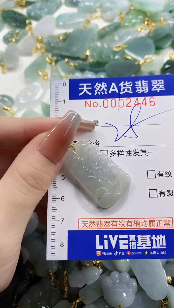 颈饰未镶嵌翡翠天**命天然A货翡翠