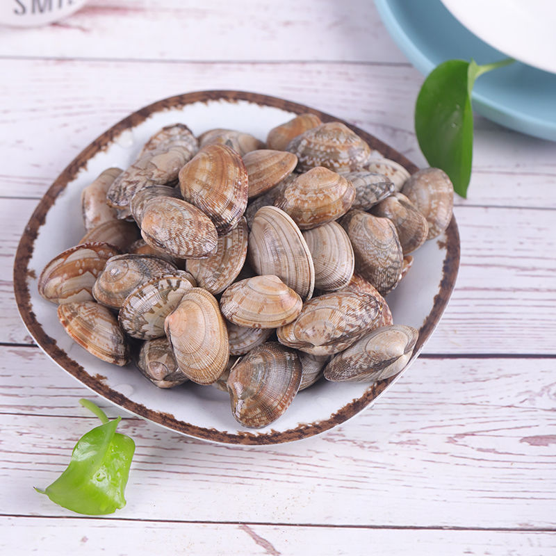 【约500g±20g/份】百意大花蛤(花甲)