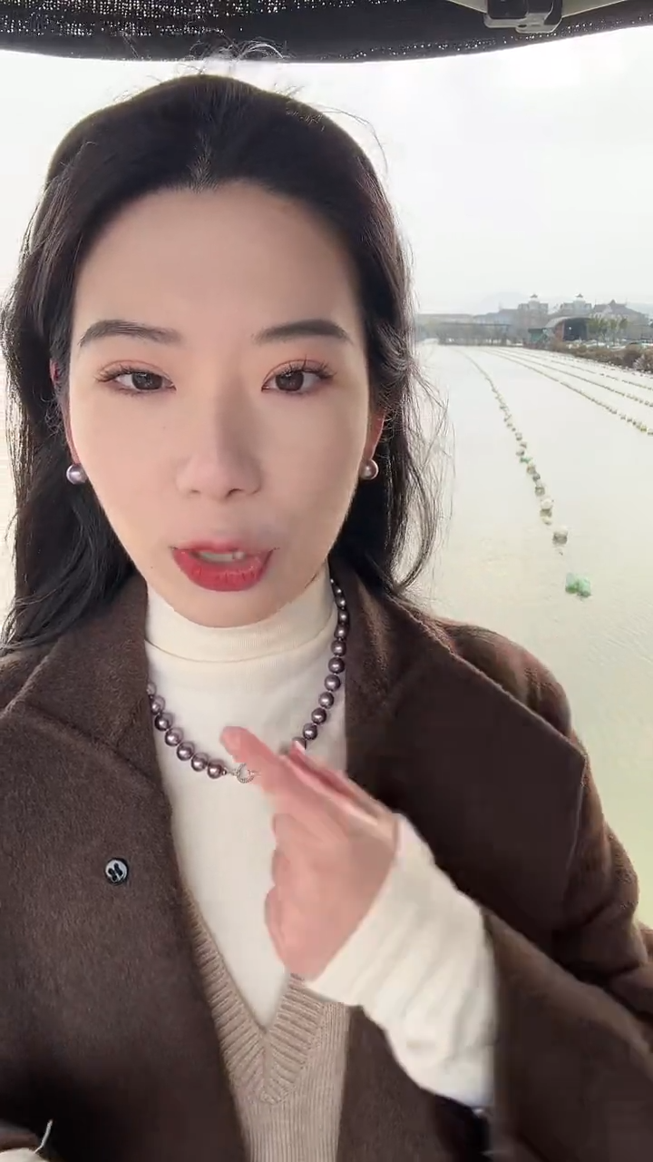 吊坠(赠链)银S925镶嵌淡水珍珠【紫珠吊坠】12m 正圆 天然淡水珍珠